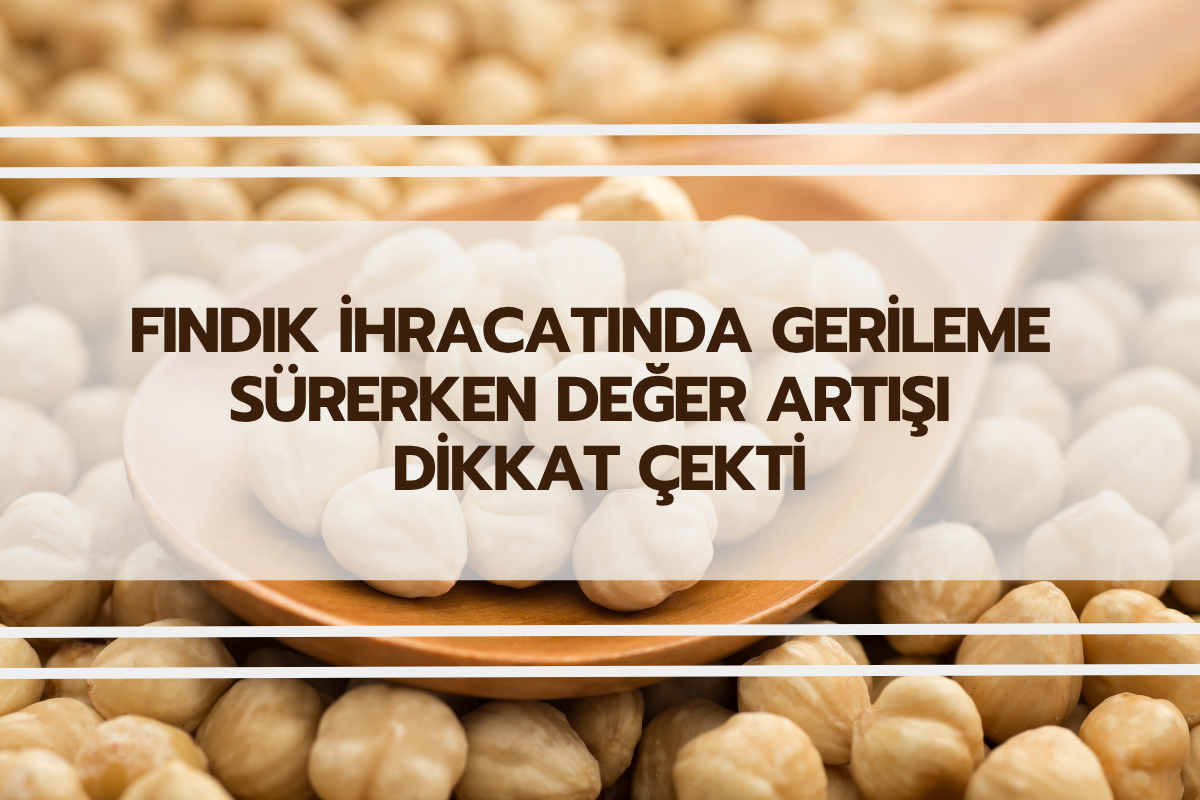 FINDIK İHRACATINDA GERİLEME SÜRERKEN DEĞER ARTIŞI DİKKAT ÇEKTİ